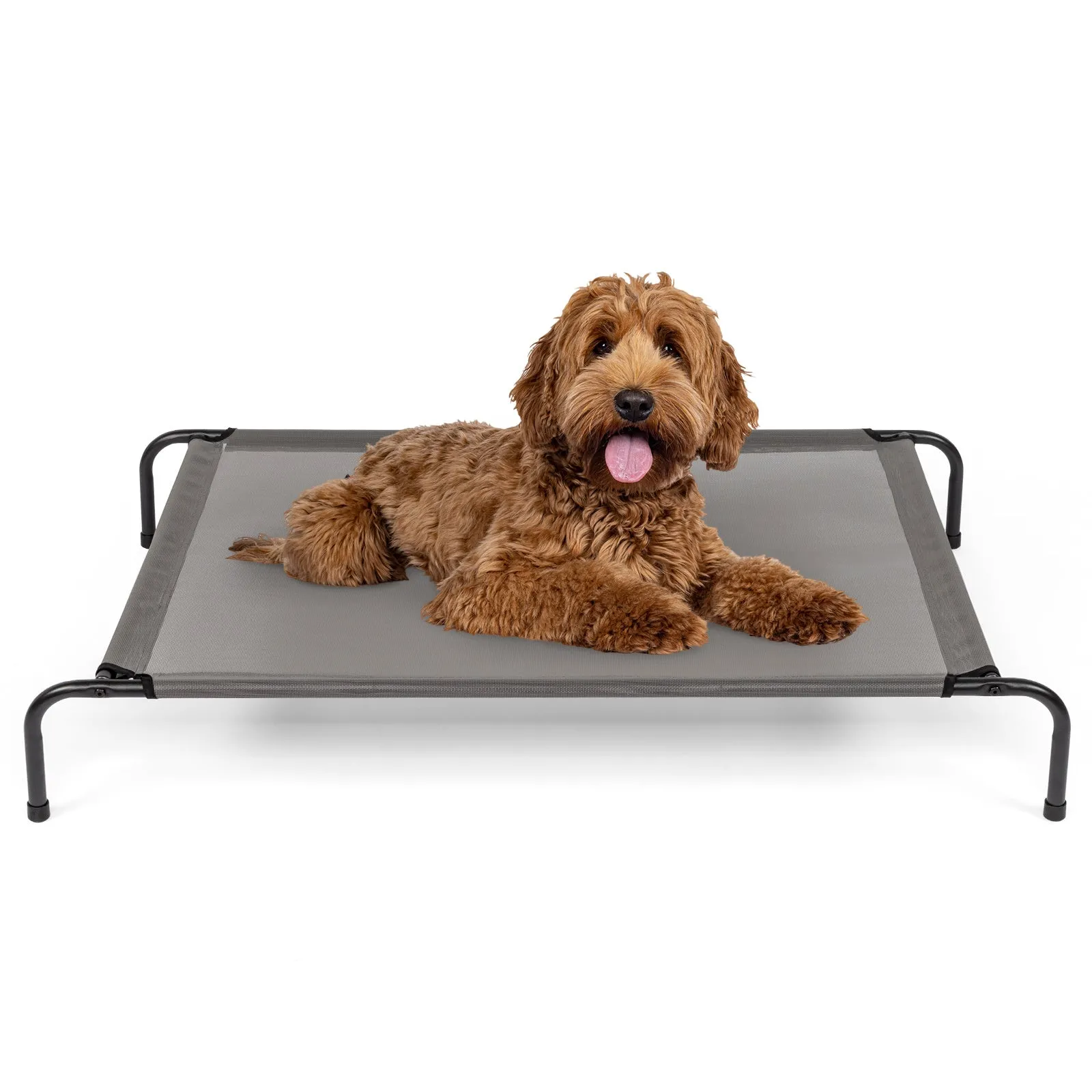 Sturdy Durable 8" Raised Platform Bed for Dogs