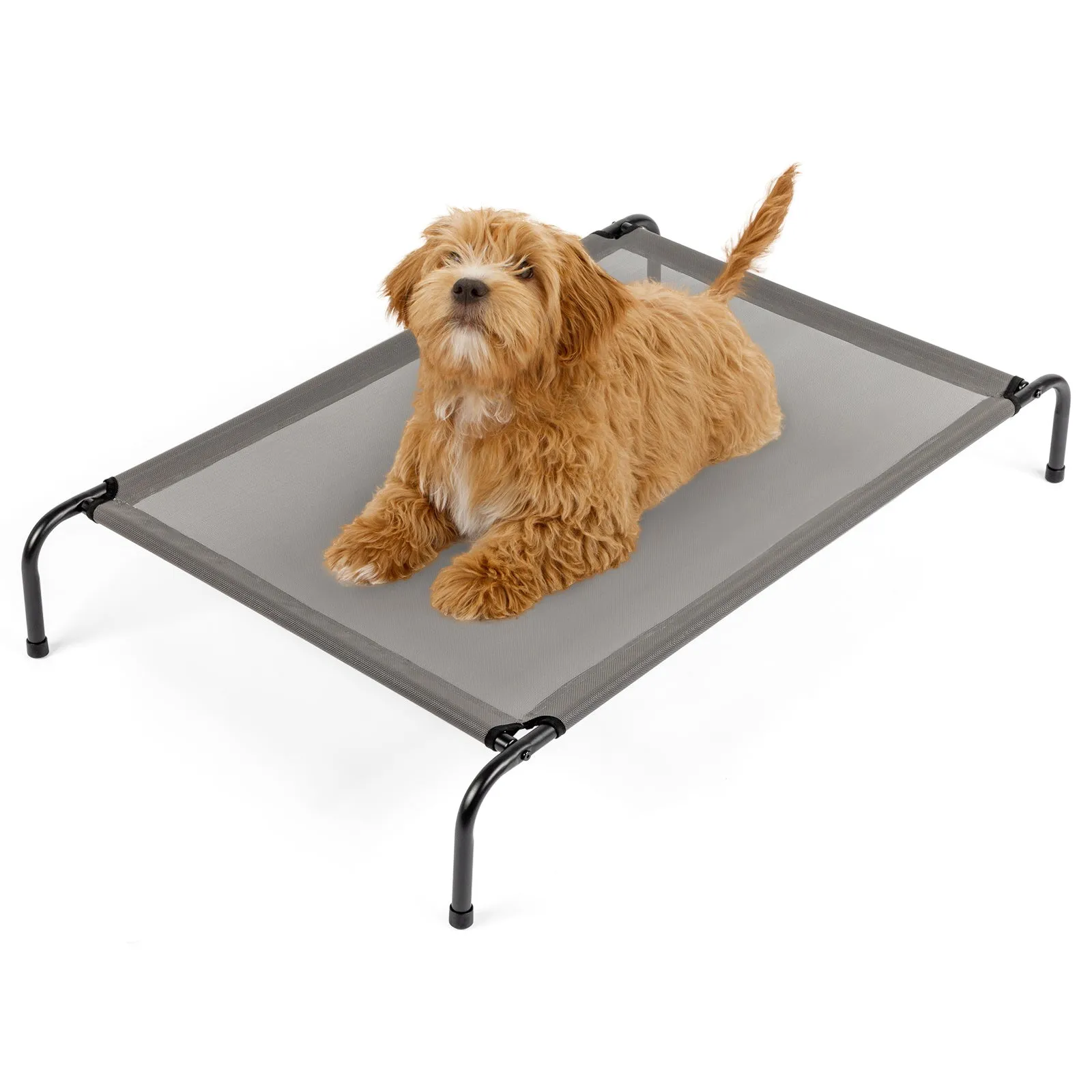 Sturdy Durable 8" Raised Platform Bed for Dogs