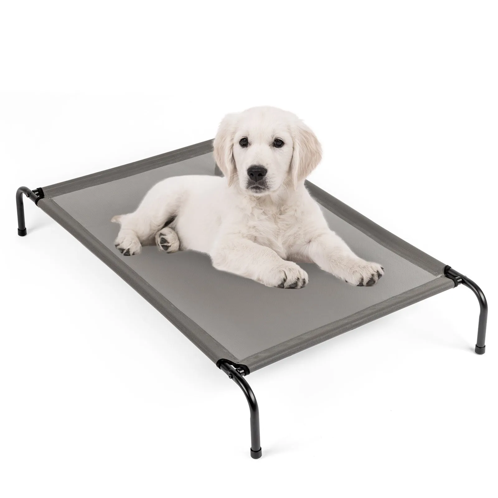 Sturdy Durable 8" Raised Platform Bed for Dogs