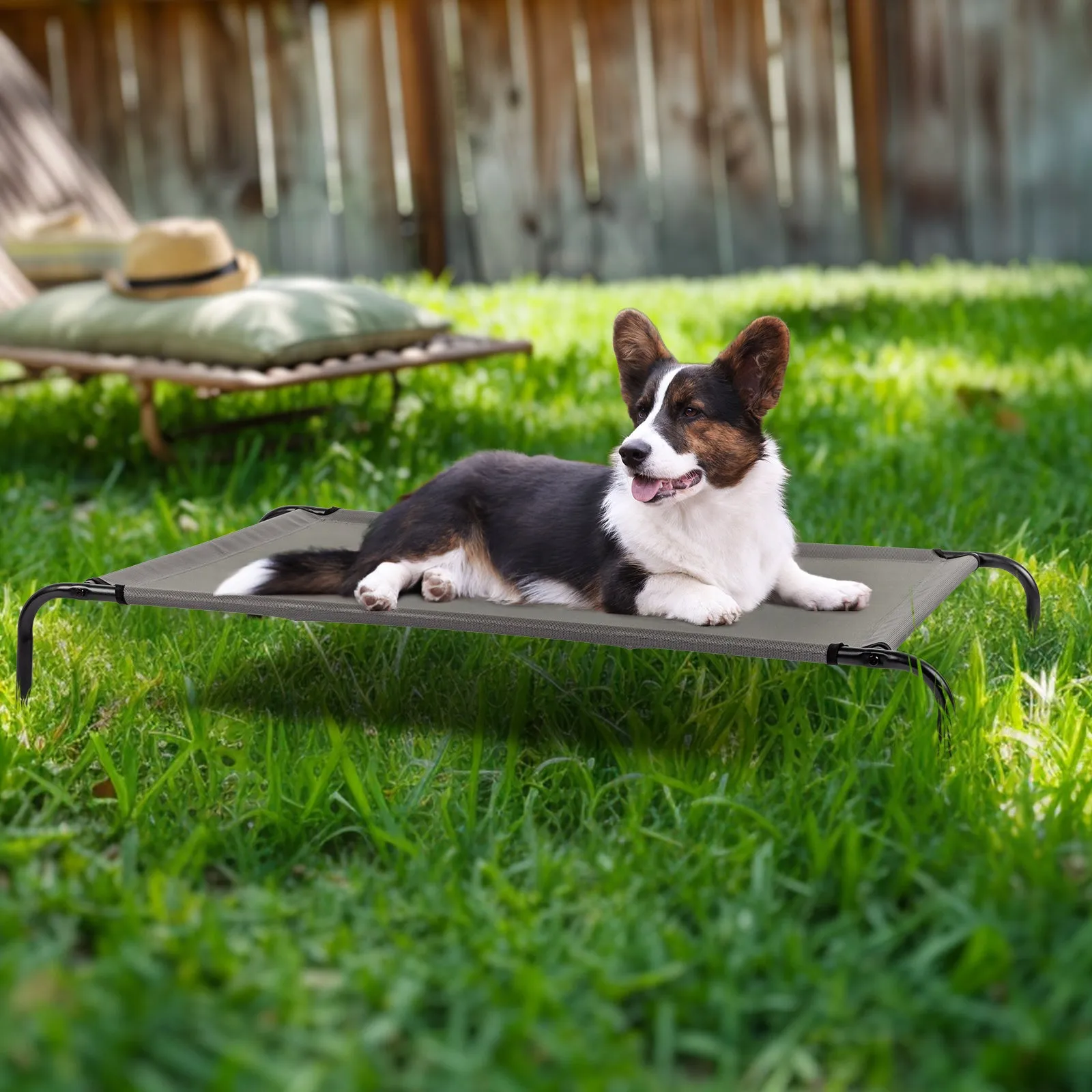 Sturdy Durable 8" Raised Platform Bed for Dogs